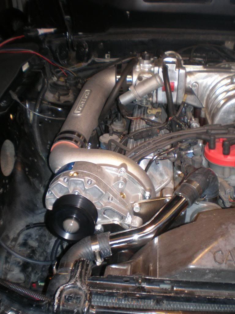P1261070_zps878d7b74.jpg