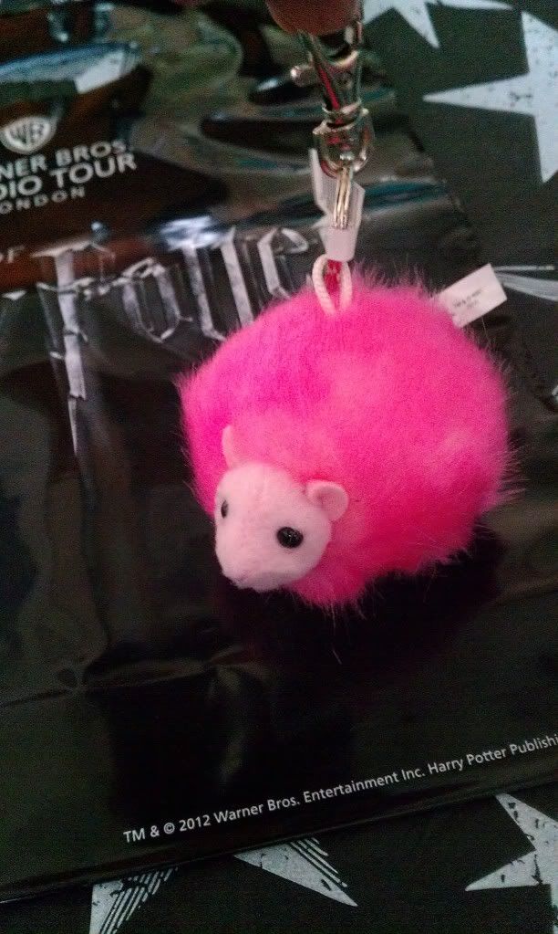 pygmy puff toy