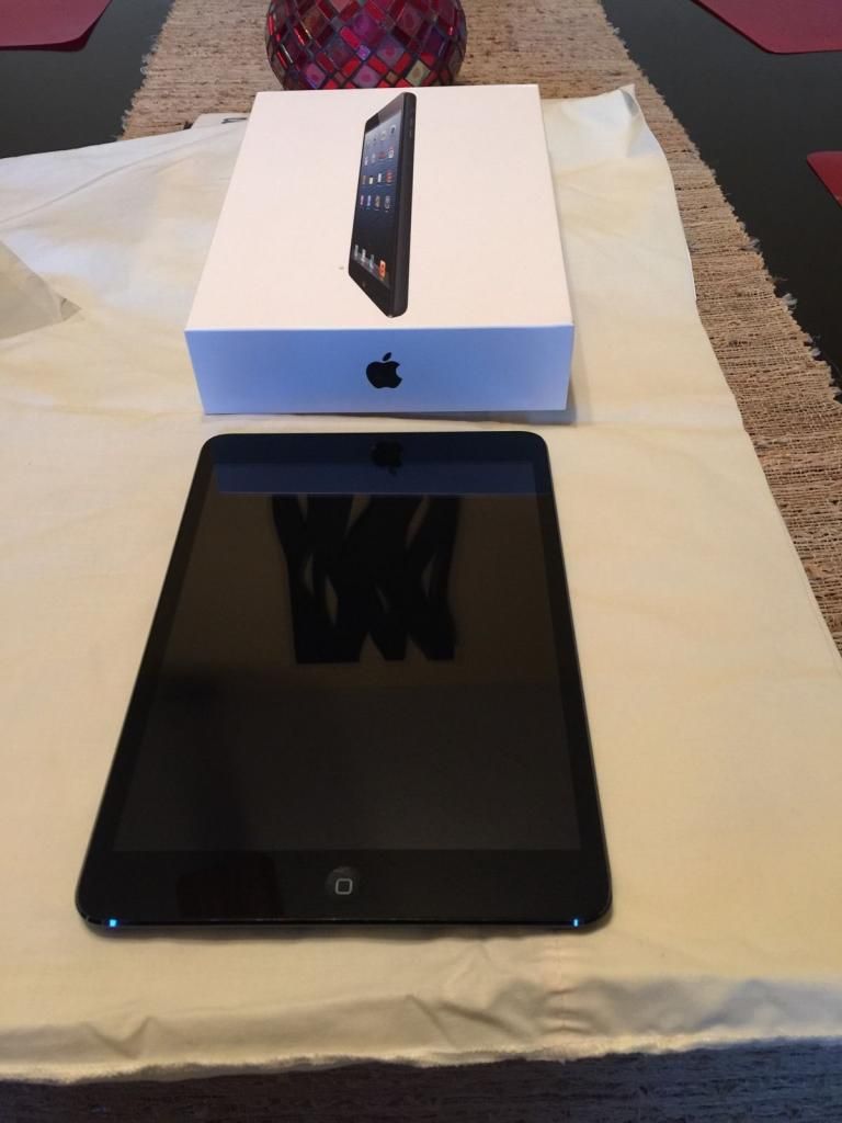 Ipad mini 16gb + 3g giá cực tốt - 1