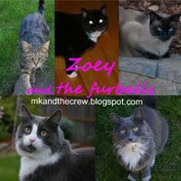 Zoey and the furballs