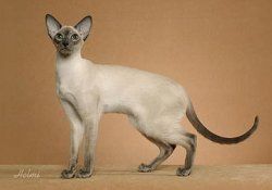  photo d_zpse0ec1f2a.jpg