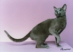  photo h_zps6b9c913f.jpg