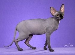  photo j_zpsa02cb606.jpg