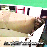 photo niallgif20_zpsd1xshq3w.gif