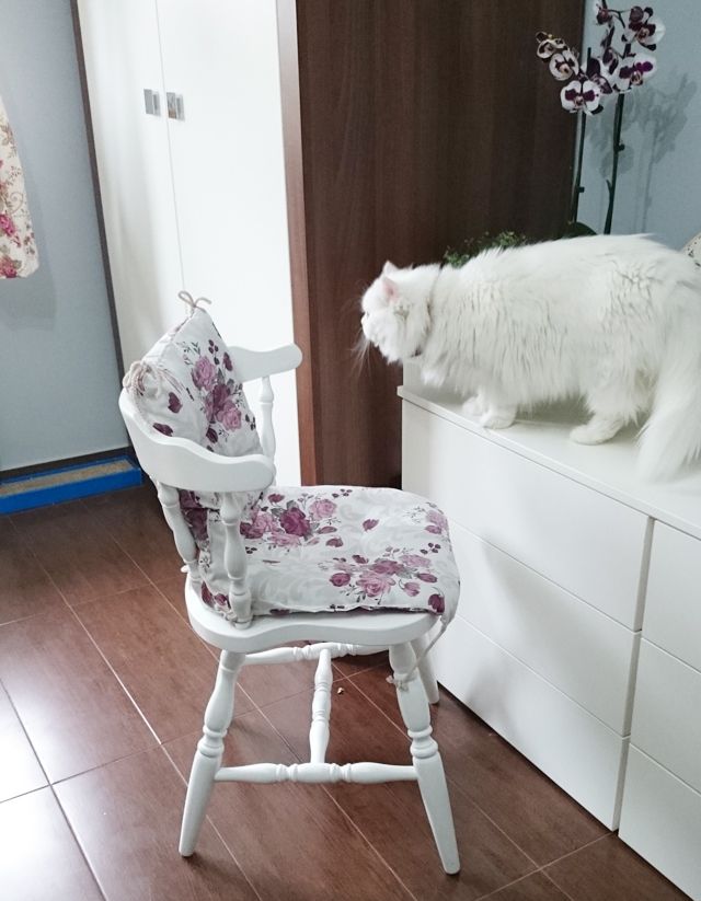 photo scaunre2_zps687abc65.jpg