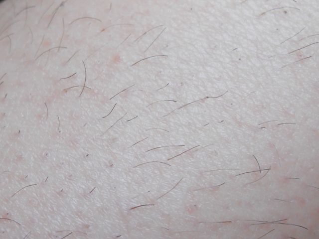 photo ilprez2_zps52cf8c64.jpg