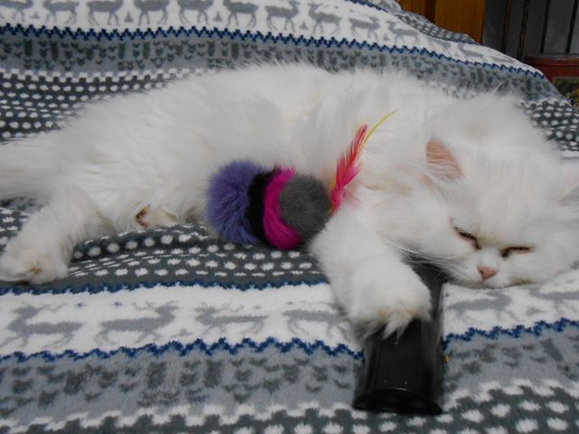 photo lana2_zps7987e3ac.jpg