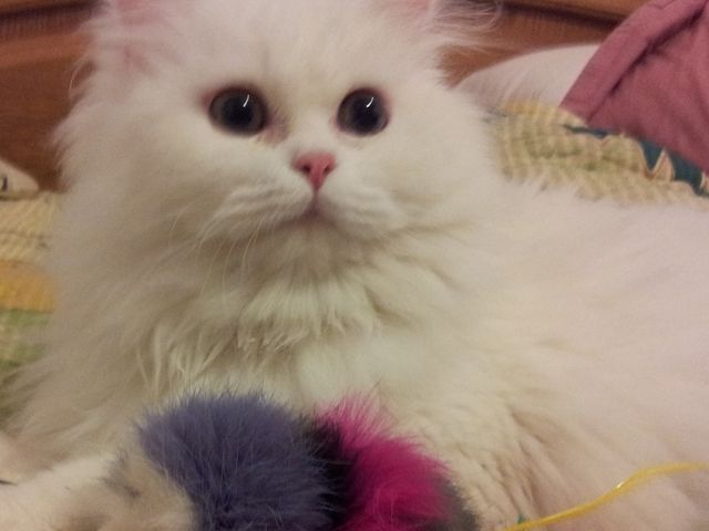 photo lana8_zpsce422757.jpg