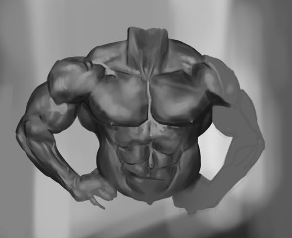 [Image: bodybuilder-torso-study.jpg]