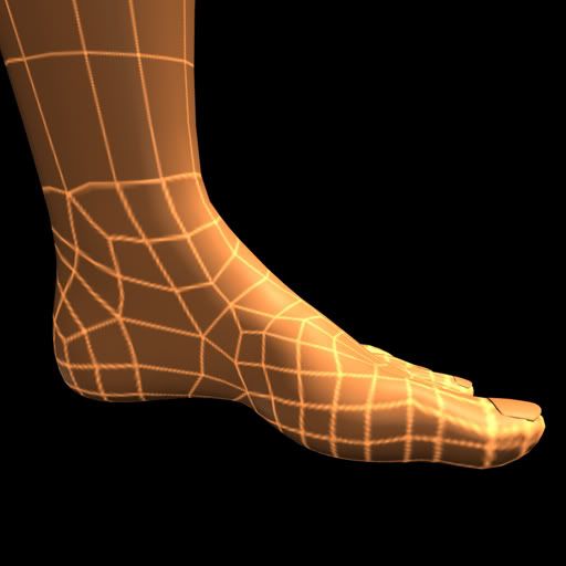 foot_uv_02copy.jpg