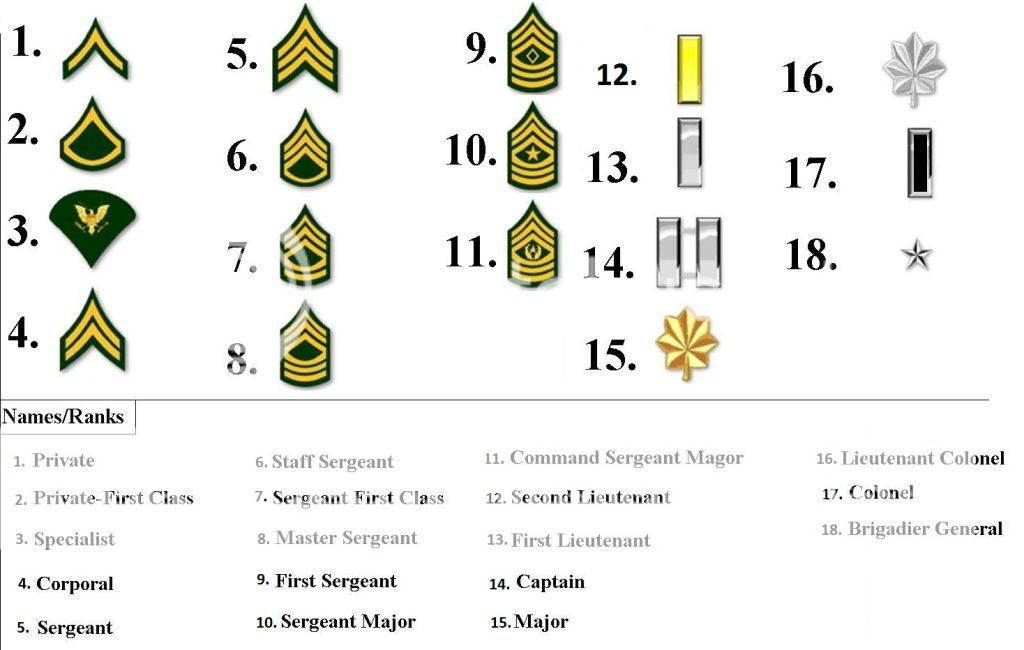 Army Rank System | Page 1 | Army | Guild Forums | Gaia Online