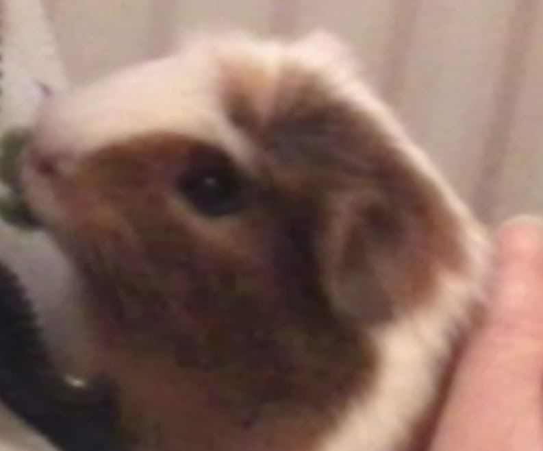 Bubles.jpg