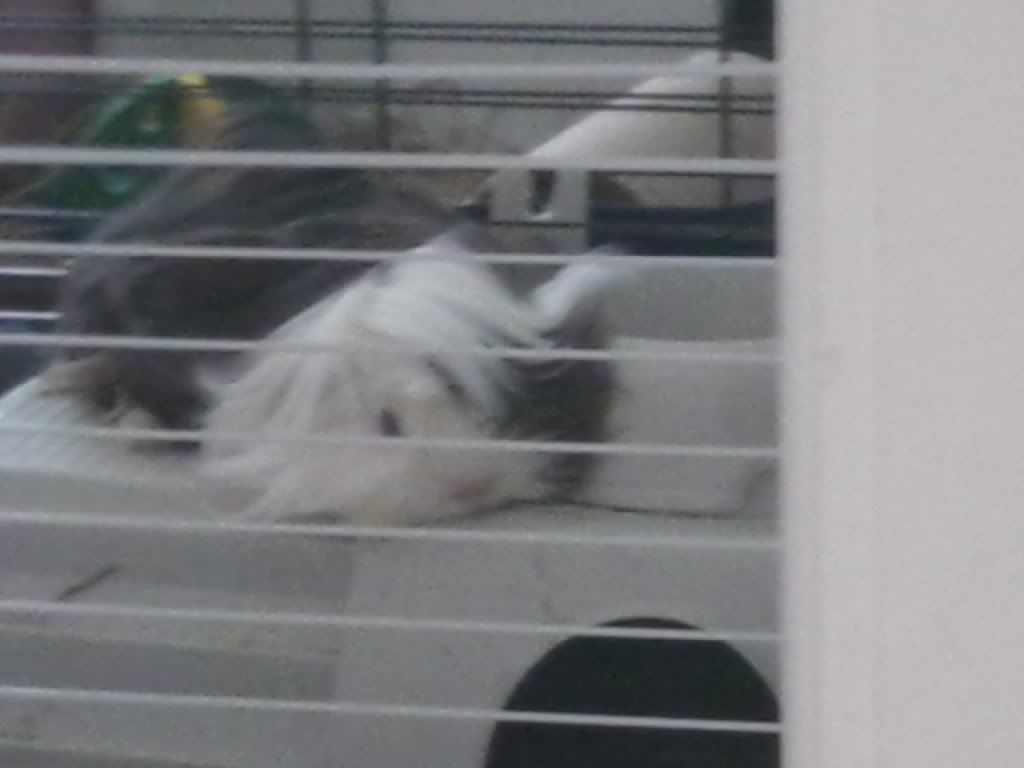 Imsleepy.jpg