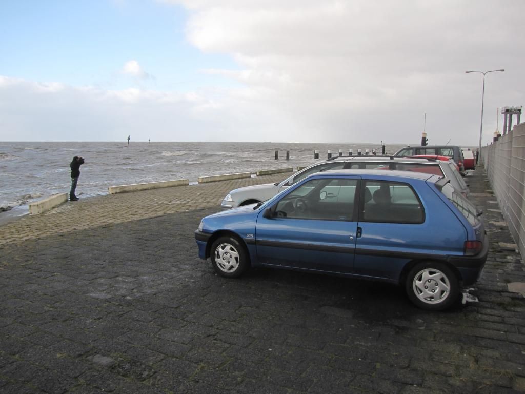IMG_0246_zps3bc541d9.jpg