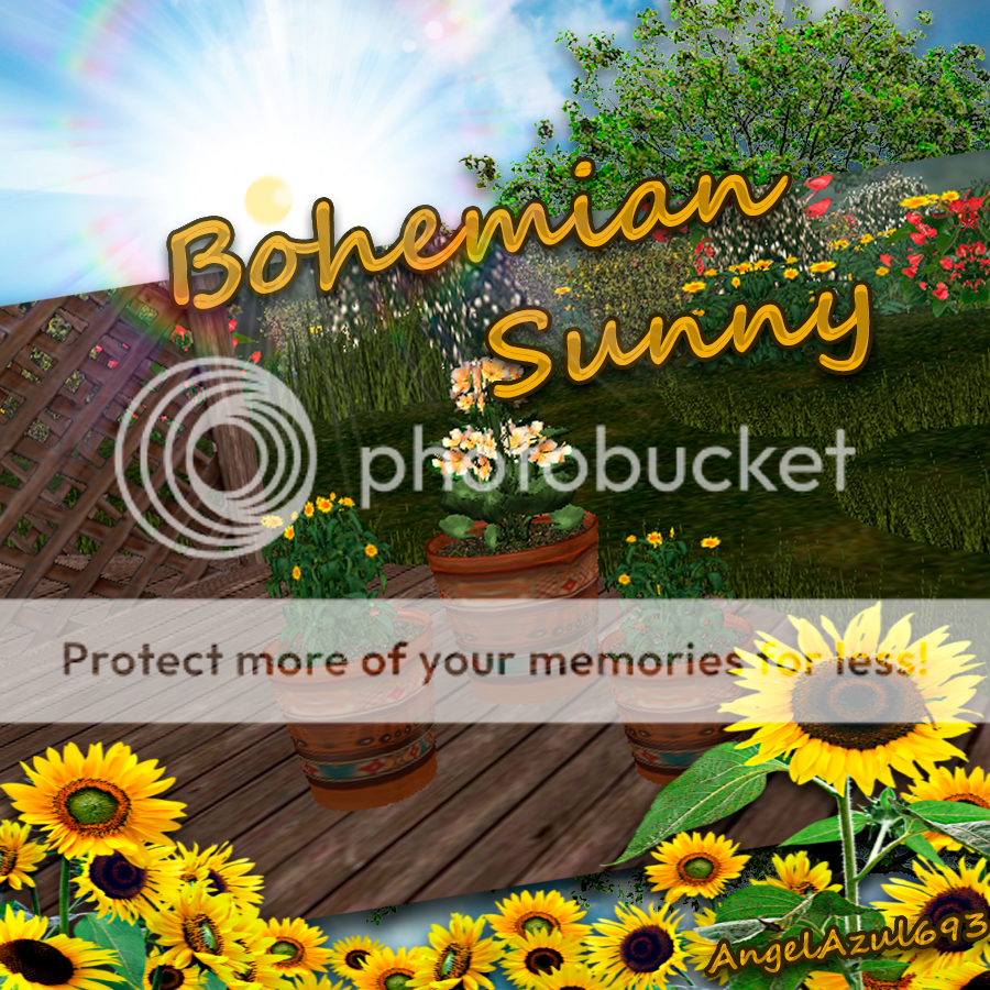  photo Promo  Bohemian Sunny Potte Plants_zpswpj2wo71.png