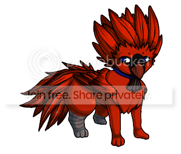 User Image