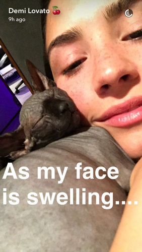 photo demi-lovato-cat-3_zpsyee2lvpr.png