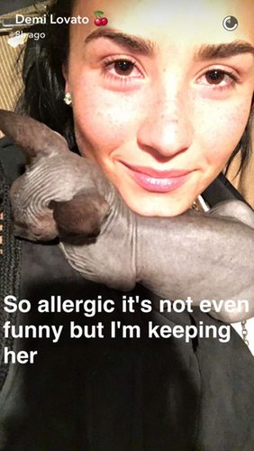 photo demi-lovato-cat-6_zpsbdzay4ci.png