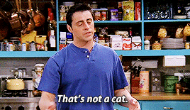 photo tumblr_nhq5o61bDK1r67id1o2_400_zpswsxk6lb2.gif
